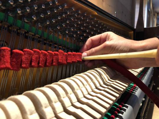 36294265_10156364894724030_8576672746602233856_n